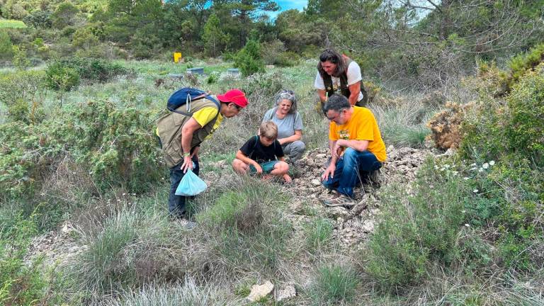 Un grup de voluntaris durant una jornada de conservació del timonet a Querol. Foto: cedida