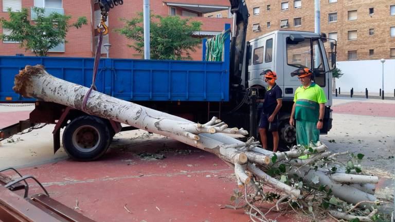 $!Foto: Ajuntament de Vila-seca