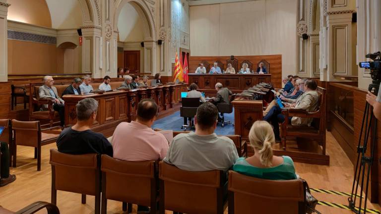 Imatge de la sessió plenària de la Diputació de Tarragona. FOTO: DT