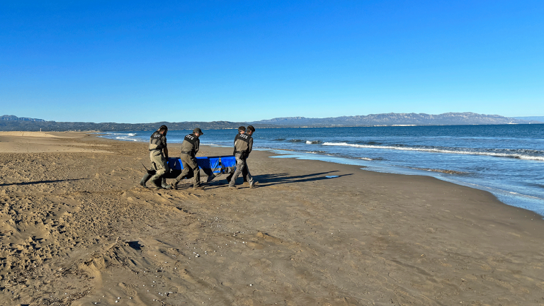 Los Agents Rurals y voluntarios del CRAM devolviendo el delfín al mar. Foto: CRAM