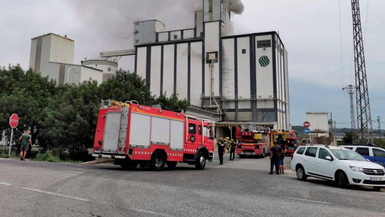 Incendi en una fàbrica de pinsos de Vilallonga del Camp