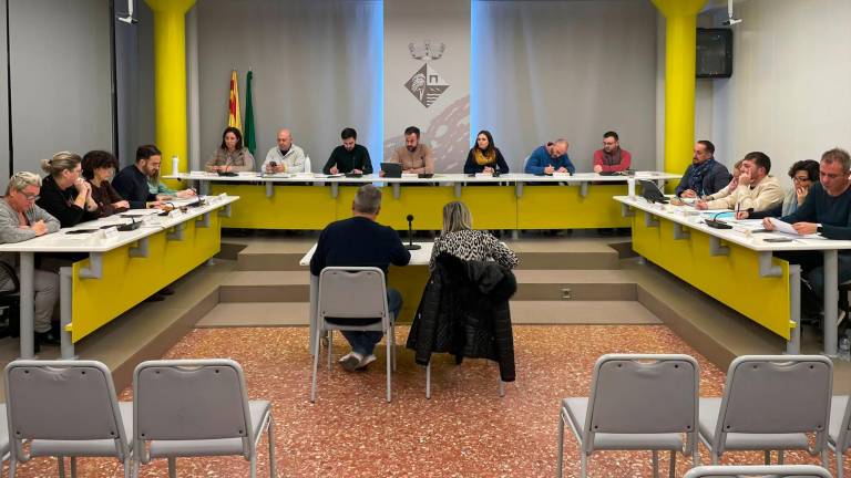 Plenari de l’Ajuntament de Deltebre. Foto: Cedida
