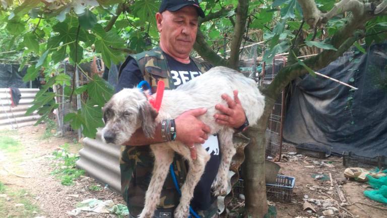 Un voluntario rescata a uno de los perros encerrados en una jaula.