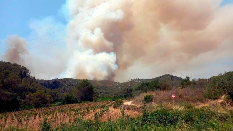 Las llamas eran visibles desde el Baix Penedès.