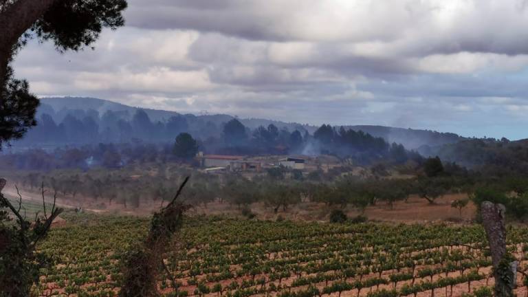 El fuego ha rodeado una antigua granja. Foto: Àngel Juanpere