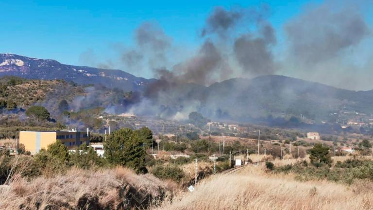 $!El incendio forestal en Les Borges del Camp quema 3,05 hectáreas