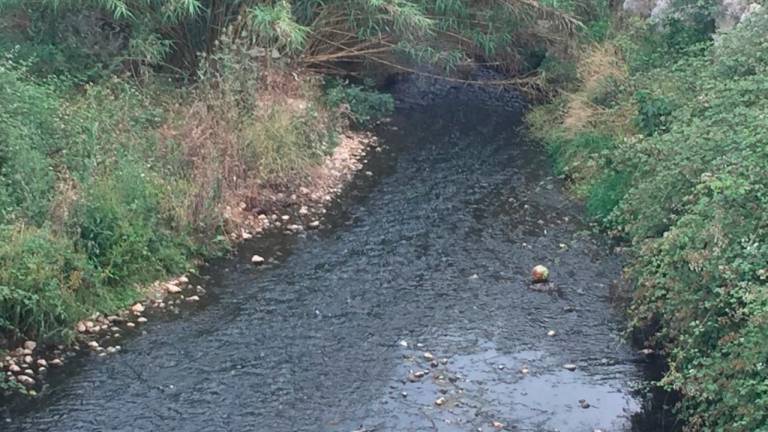 $!Los vecinos piden aclarar la causa de la muerte de patos en el torrente del Lluc en El Vendrell
