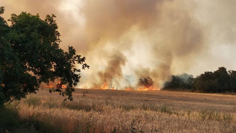 Imatge de l'incendi entre Alcover i Vilallonga del Camp. À.Juanpere