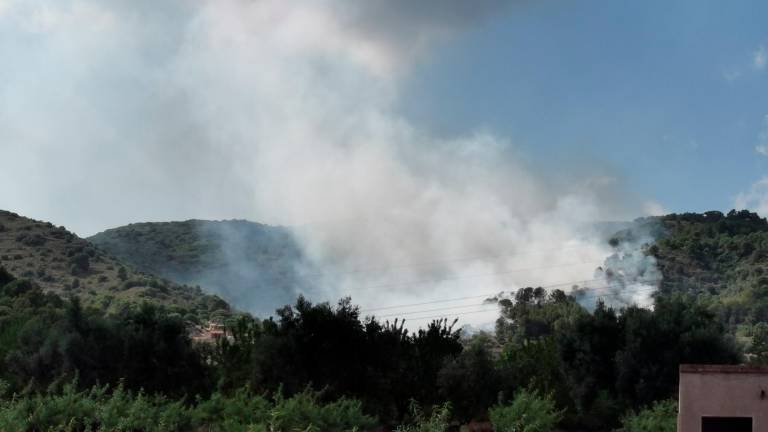 Aumenta considerablemente el riesgo de incendio forestal. Foto: Àngel Juanpere