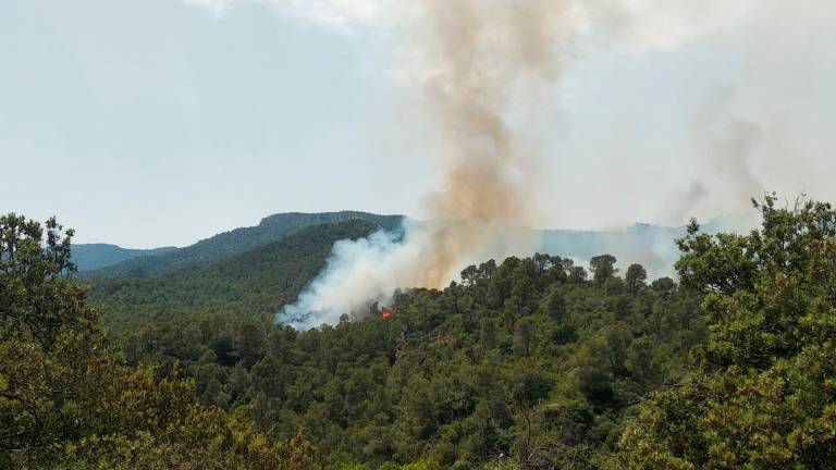 Controlat el foc forestal de Mont-ral-Montblanc que ha obligat a desallotjar una casa rural