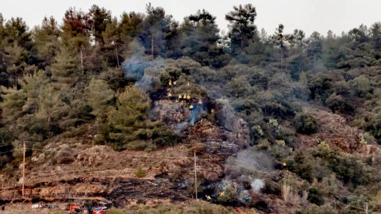 Despliegue de efectivos por el incendio de Torroja del Priorat. Foto: ADF de La Morera de Montsant