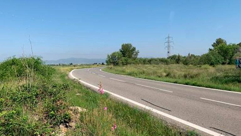 Estat actual de la carretera TV-2034. Foto: Diputació de Tarragona