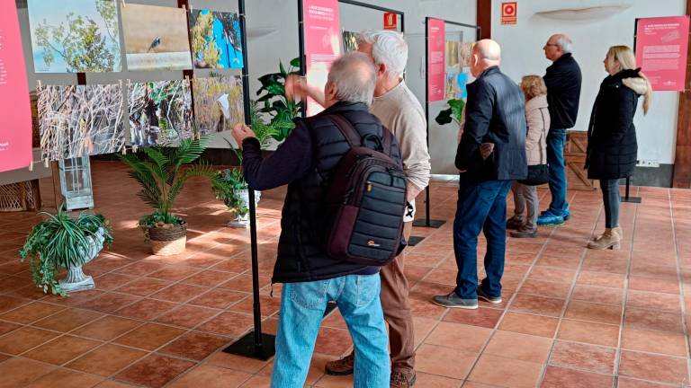 La mostra s’ha inaugurat aquest dimecres a la Sala del Marquesat del Jardí Històric de Cambrils. Foto: DT