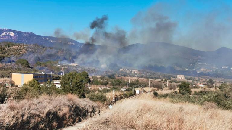 Este año ya se han producido diversos incendios forestales, como este de Les Borges del Camp el pasado 3 de febrero. Foto: Àngel Juanpere