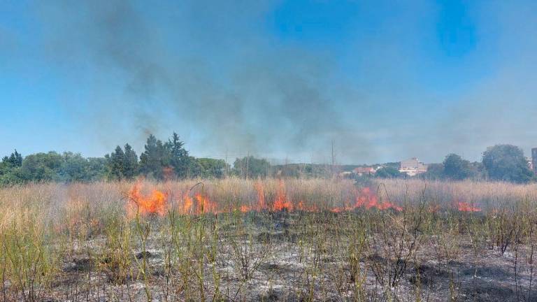Las llamas han afectado a 5.000 m2 de terreno.