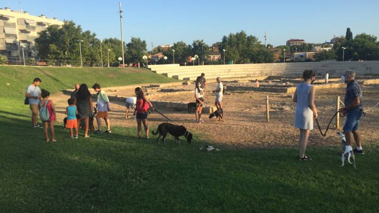 Quejas de propietarios de perros de Calafell por echarles de la zona donde llevan a sus mascotas