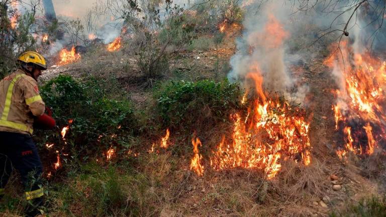 Cremes controlades per part dels bombers a Gandesa, aquesta setmana. Foto: Bombers de la Generalitat
