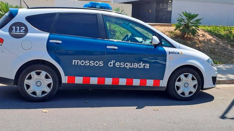 Los mossos detuvieron a los agresores. foto: DT