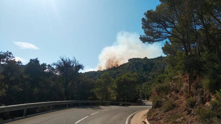 Tallada la carretera entre Alforja i Cornudella per un incendi forestal