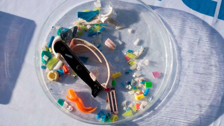 La eliminación de los microplásticos es uno de los retos ecológicos más acuciantes del mundo. Foto: EFE