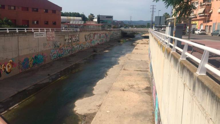 $!Los vecinos piden aclarar la causa de la muerte de patos en el torrente del Lluc en El Vendrell