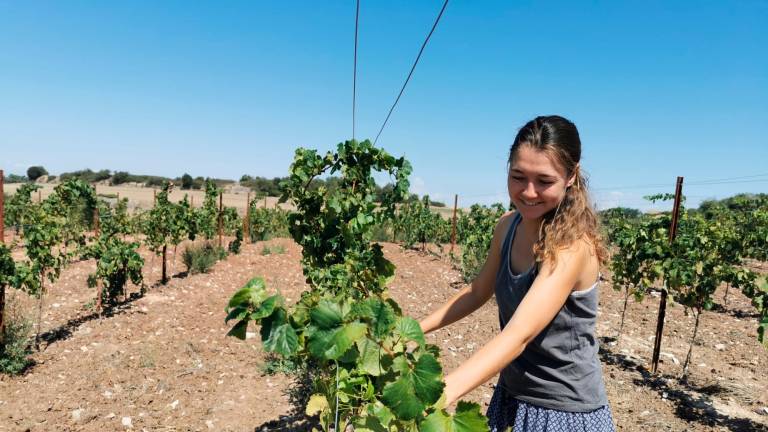 Maria en la parte del viñedo donde plantó albariño. Espera que el próximo año ya pueda producir vino. foto: àngel juanpere