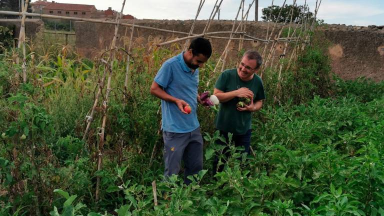 Abdelkader Belkhader amb Joan Casellas a l’hort que comparteixen. Foto: Àngel Juanpere