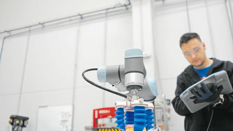 Demostración de precisión de uno de los robots colaborativos Mantis en las instalaciones de Binder en Reus. Foto: Alba Mariné