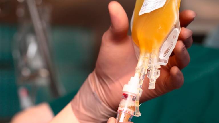 La donación de plasma en España urge debido a las carencias que existen para que el país puede ser autosuficiente. Foto: Getty Images