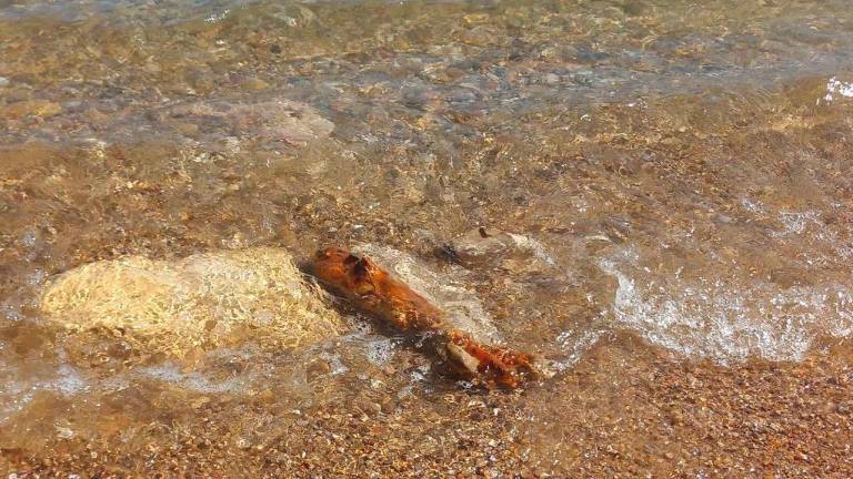 El artefacto bélico que apareció en la orilla de la playa de La Móra. Foto: CME