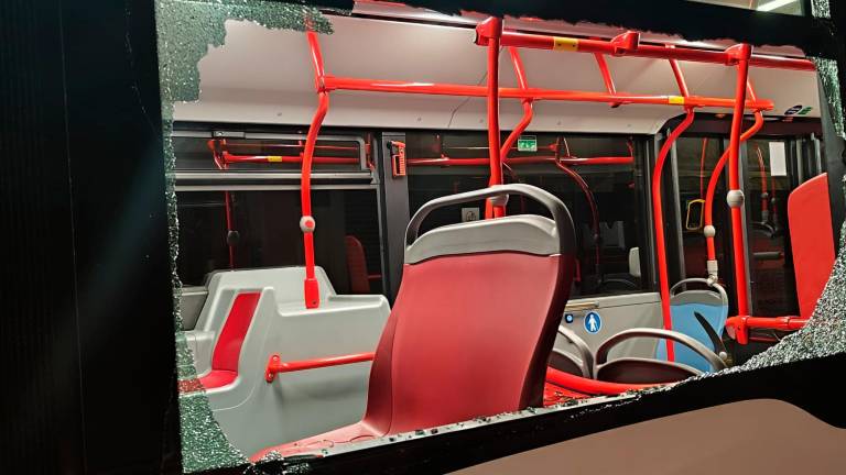 Imagen del estado en que quedó el autobús tras el ataque. Foto: Cedida