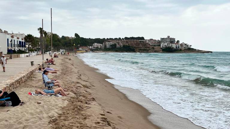 L’EINA exigeix una gestió de la platja d’Altafulla amb criteris tècnics, no basada en interessos electorals