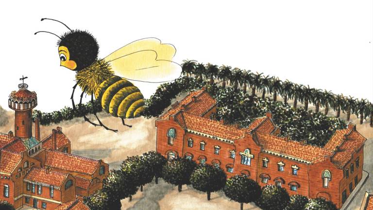 L’abella Apis a l’Institut Pere Mata. Il·lustració: Núria Capella