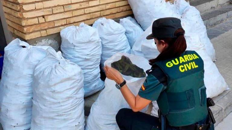 Imagen de los sacos de algarroba incautados en Tortosa. Foto: Cedida