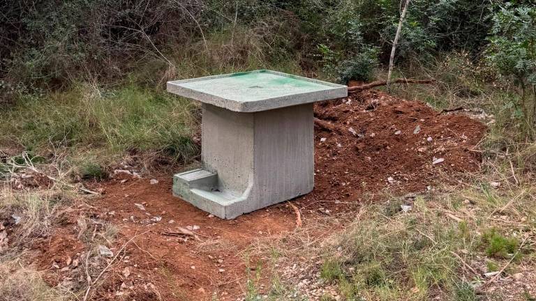 El bebedero colocado en el bosque.