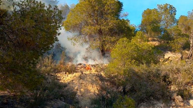 El incendio de Batea. Foto: Bombers de la Generalitat