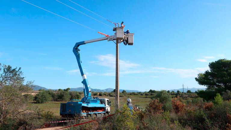 Els operaris treballant en un dels 35 suports de 12 línies elèctriques de l’Alt Camp. Foto: Roser Urgell