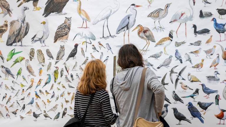 El Delta acull la fira ornitològica de referència a la Mediterrània