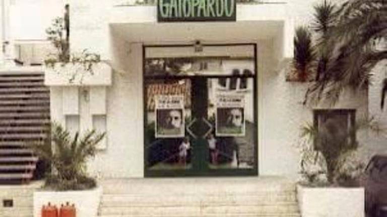 La entrada de Gatopardo.