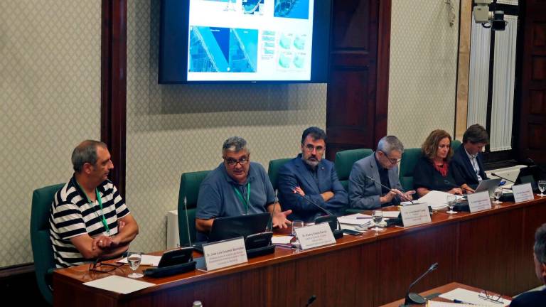 Els experts durant les seues ponències ahir a la Comissió d’Estudi sobre la Protecció del Delta de l’Ebre. foto: parlament de catalunya