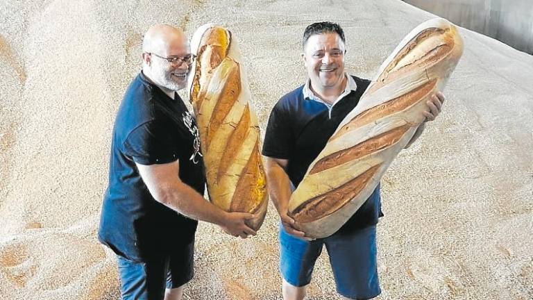 El blat de mestral permet elaborar pans de alta qüalitat com a producte de proximitat. FOTO: DT