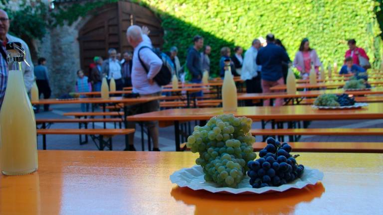 El Vinyafest organiza distintas actividades en torno, sobre todo, a la uva y las bodegas. foto: diputació de tarragona