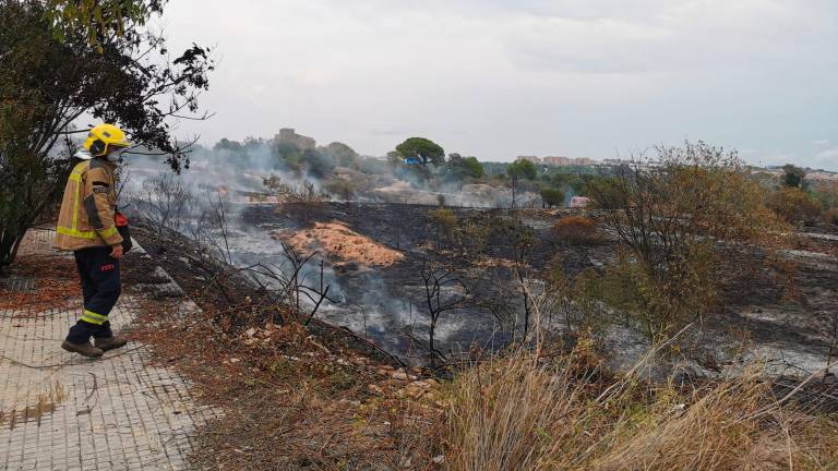 La zona quemada es de 2,4 hectáreas. Foto: Àngel Juanpere