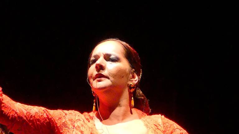 La compañía de Mónica Novillo volverá a poner el toque flamenco a las Nits Daurades, el 12 de agosto. Foto: DT