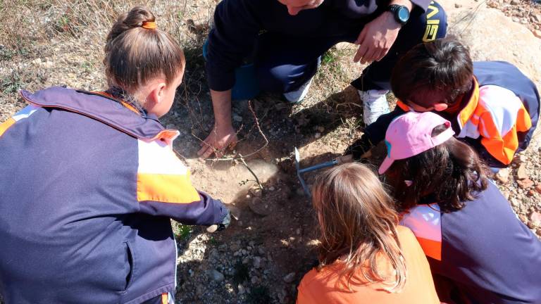 Alumnas de primero plantando un árbol en la primera actividad para mejorar el entorno de la Bassa Nova de Rodonyà. Foto: Roser Urgell