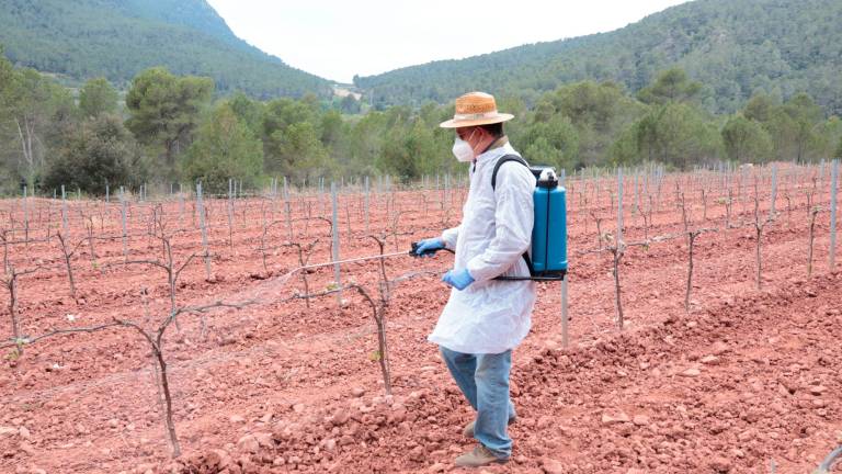 Membre de l’ADV aplicant el producte fitosanitari en una finca del Pla de Manlleu. Foto: Roser Urgell