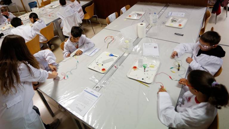 En los laboratorios del CRAI se celebran estos días experimentos con alumnos de Primaria hasta bachillerato. FOTO: P. Ferré