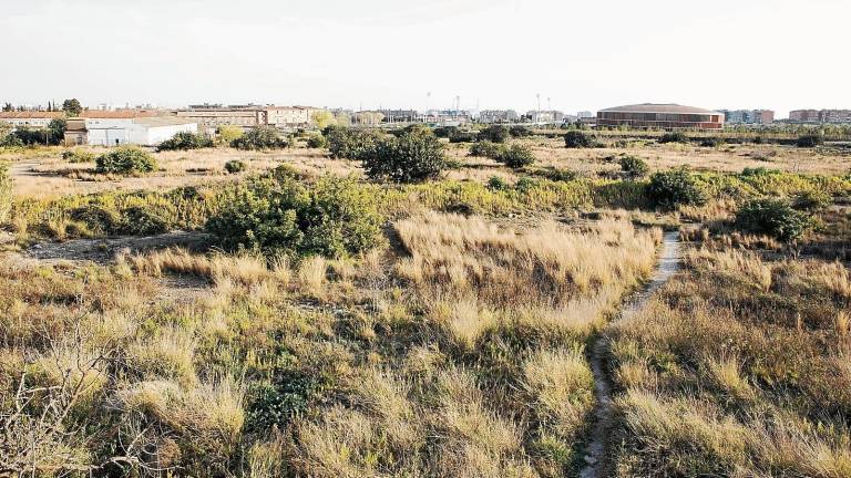 Imagen de los terrenos en los que se construirá el nuevo barrio de Ponent, entre el Anillo Mediterráneo y la T-11. FOTO: Alba Mariné