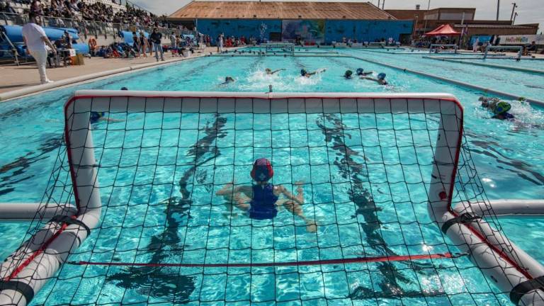 La piscina Sylvia Fontana, a pleno rendimiento. Foto: Àngel Ullate