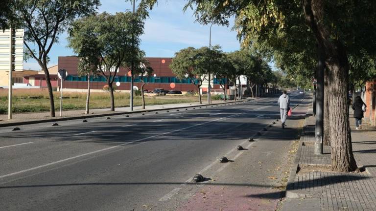 Carril bici que hay en la carretera de Alcolea.FOTO: FABIÁN ACIDRES
